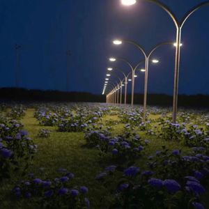 调教小男奴光着小jiji慕宝
